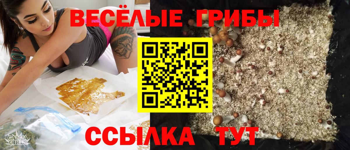 Минусинск  где найти   Галлюциногенные грибы Magic Shrooms  Вход с VPN  Псилоцибиновые грибы Cubensis 