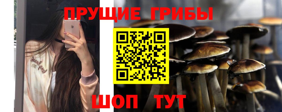 Галлюциногенные грибы мицелий Минусинск